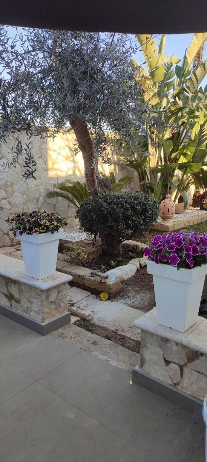 Villa Saracino Bari Dış mekan fotoğraf